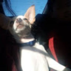 Meet your Posher, Amy